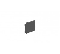 GoPro GP REPLACEMENT DOOR HERO 5 SESSION - AMIOD-001