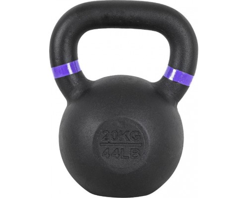 inSPORTline Powder cast iron 20 kg