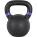 inSPORTline Powder cast iron 20 kg
