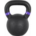 inSPORTline Powder cast iron 20 kg