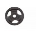 Toorx Svari stieņiem TOORX DGN-TG10 D50mm 10kg