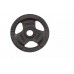 Toorx Svari stieņiem TOORX DGN-TG10 D50mm 10kg