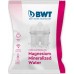 BWT BWT AQUAlizer Home manual 125626883 inkl. Glasflasche