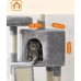 Leobert cat - PCT141W01