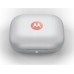 Motorola moto buds Coral