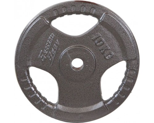 Eb Fit LOAD HAMMERTONE 10 KG EB FIT fi28 color szary