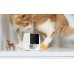 Book on Demand Ltd. Petcube Cam | Pet camera | WiFi, 1080p