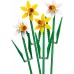 LEGO Icons Narcissus 4 gab. (40747)