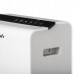 Avfuktare sorptionsavfuktare för kalla utrymmen Tystgående WiFi WDD90
