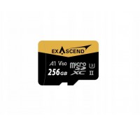 SD  Exascend Catalyst UHS-II V60 micro 256GB