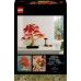 Botanicals Klon palmowy bonsai (10348)
