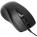 Targus - Tastatur-und-Maus-Set - full size - antimicrobial - USB - QWERTY - Spanisch - Schwarz