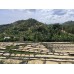 RWANDA MUHABURA FUNKY ANAEROBIC ESPRESSO 400g