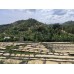 RWANDA MUHABURA FUNKY ANAEROBIC ESPRESSO 400g
