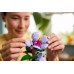 LEGO Botanicals Hibiskus (10372)