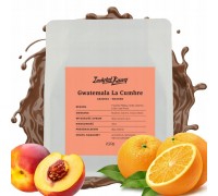 Instytut Kawy Gwatemala La Cumbre Filtr 250g