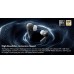 Rose Technics (ROSESELSA) EARFREE i5 - black - TWS