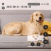 TESLA SecureQ SC10 Inteligentna kamera domowa z WiFi