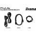 iiyama XCB3497WQSNPH-B1 + Norton Small Business