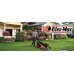 Oleo-Mac GMC 53 TK Allroad 4 (66079171E5)
