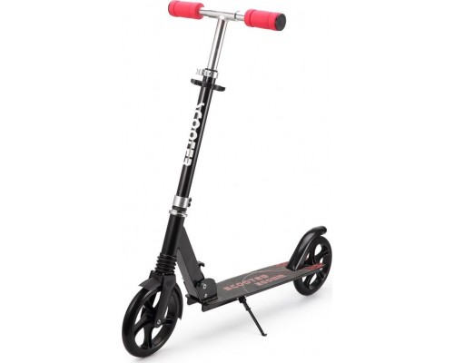 Ecotoys Black (1243)