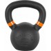 inSPORTline Powder cast iron 10 kg