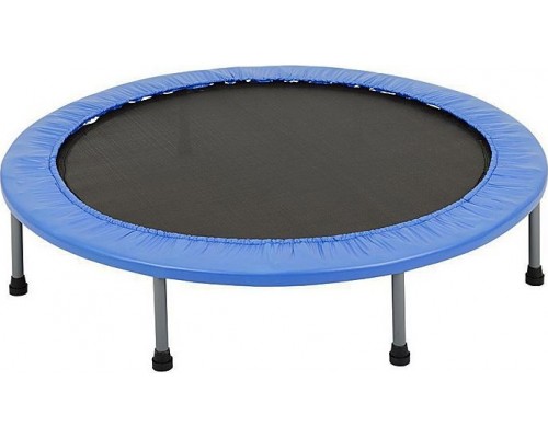 Fitness trampoline Spartan S12684 FT120 cm