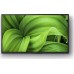 Sony KD32W800P LED 32'' HD Ready Android