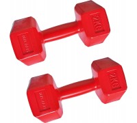 Spartan ‎‎‎‎Dumbbells 1856 bituminous 2 x 2 kg