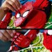 LEGO Art Apbrīnojamais Zirnekļcilvēks (31209)