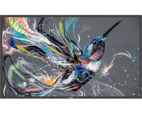 Philips Q-Line 43BDL3511Q/00