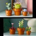 LEGO Icons Tiny Plants (10329)