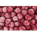Gorenje LODÃWKA NRK619EAXL4WD