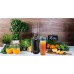 goblet Berdsen smoothie 350W BD-752 Berdsen czarny