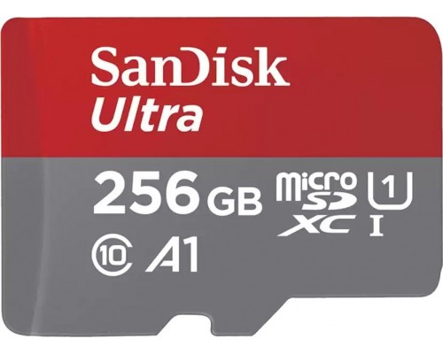 SD  SanDisk Ultra MicroSDXC 256 GB Class 10 UHS-I/U1 A1 (SDSQUAC-256G-GN6FA)