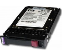 HP 250GB 3.5'' SATA II (3 Gb/s)  (458926-B21)
