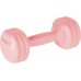 Rebel ‎‎Dumbbells RBA-2306 bituminous 2 x 1.5 kg