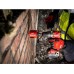 Milwaukee MILWAUKEE.UD.M18ONEPD3-502X SCREWDRIVE 158Nm 2x5.0Ah ONE-KEY
