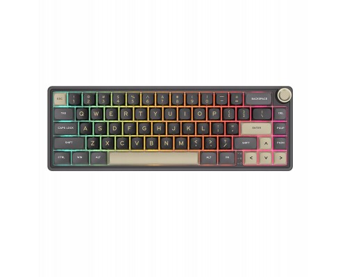 Royal Kludge RK R65 Phantom