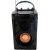 ZS53 bluetooth radio