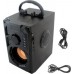 ZS53 bluetooth radio