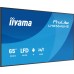 iiyama ProLite LH6564UHS-B1AG