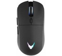 RoGer G-1800 Wireless Gaming Mouse DPI 1600 /  Type-C