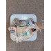 CAT LITTER BENTONITE ACTV CARB GRAN12KG