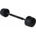 Funfit 4258 2x10kg Black