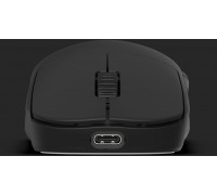 Endgame Gear OP1w 4k v2 Wireless Gaming Mouse, 4,000Hz - black