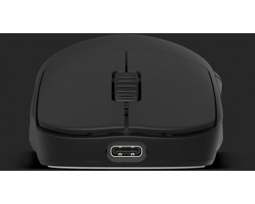 Endgame Gear OP1w 4k v2 Wireless Gaming Mouse, 4,000Hz - black