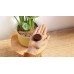 Philips Baristina BAR300/03
