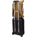 Thule | Plecak 24L | PARABP-3116 Paramount | Plecak | Nutria | Pasek na ramię | Wodoodporny
