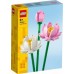 Klocki Botanicals Display Slim